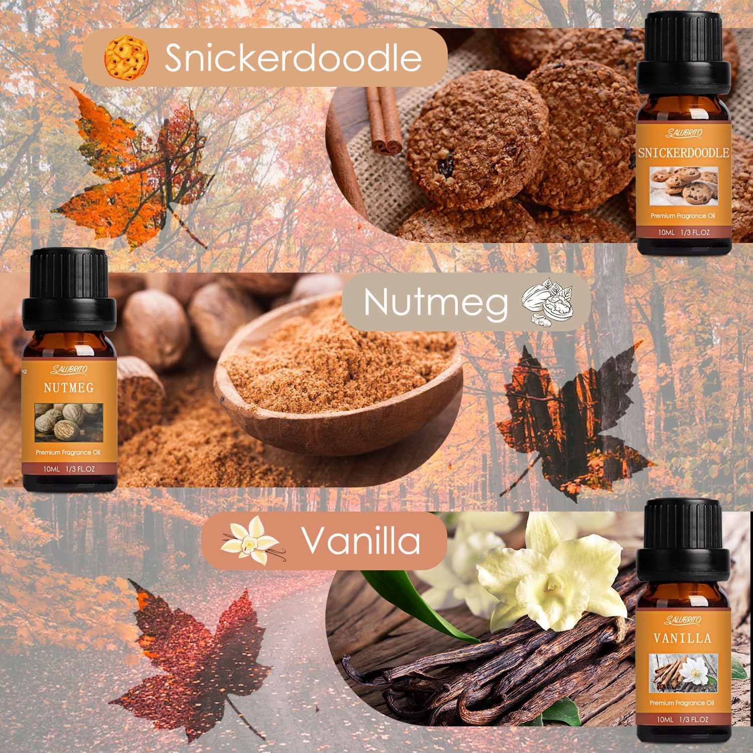 SALUBRITO Fall Essential Oil Set 6x10ml