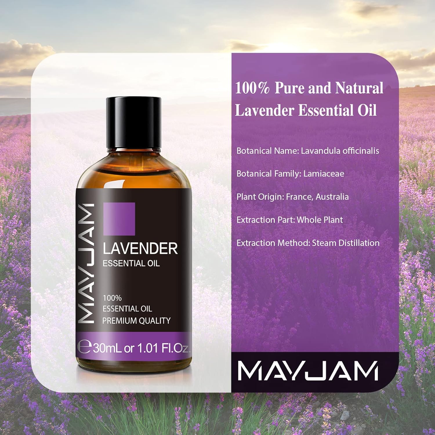 MAYJAM Lavender Essential Oil 30ML for Massage and Diffuser