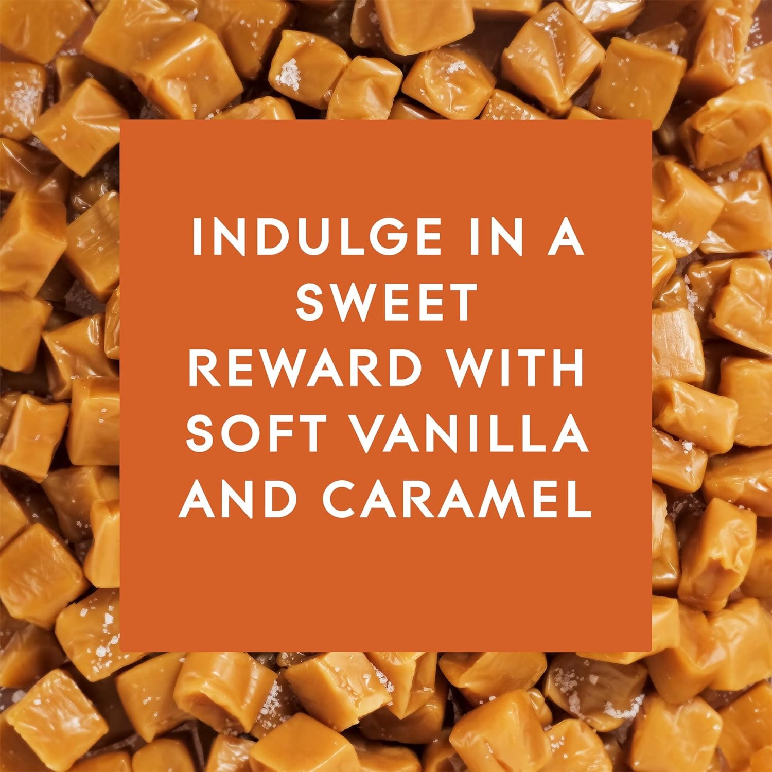 Glade Plug In Refills Vanilla Caramel Twist 5 Count