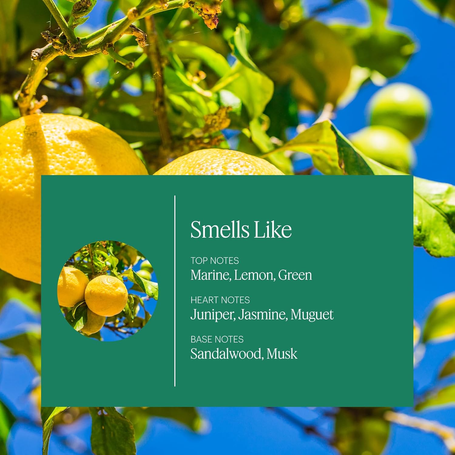 Aera Mini Home Hygiene Essential Oil - Citrus and Clean Laundry Scent