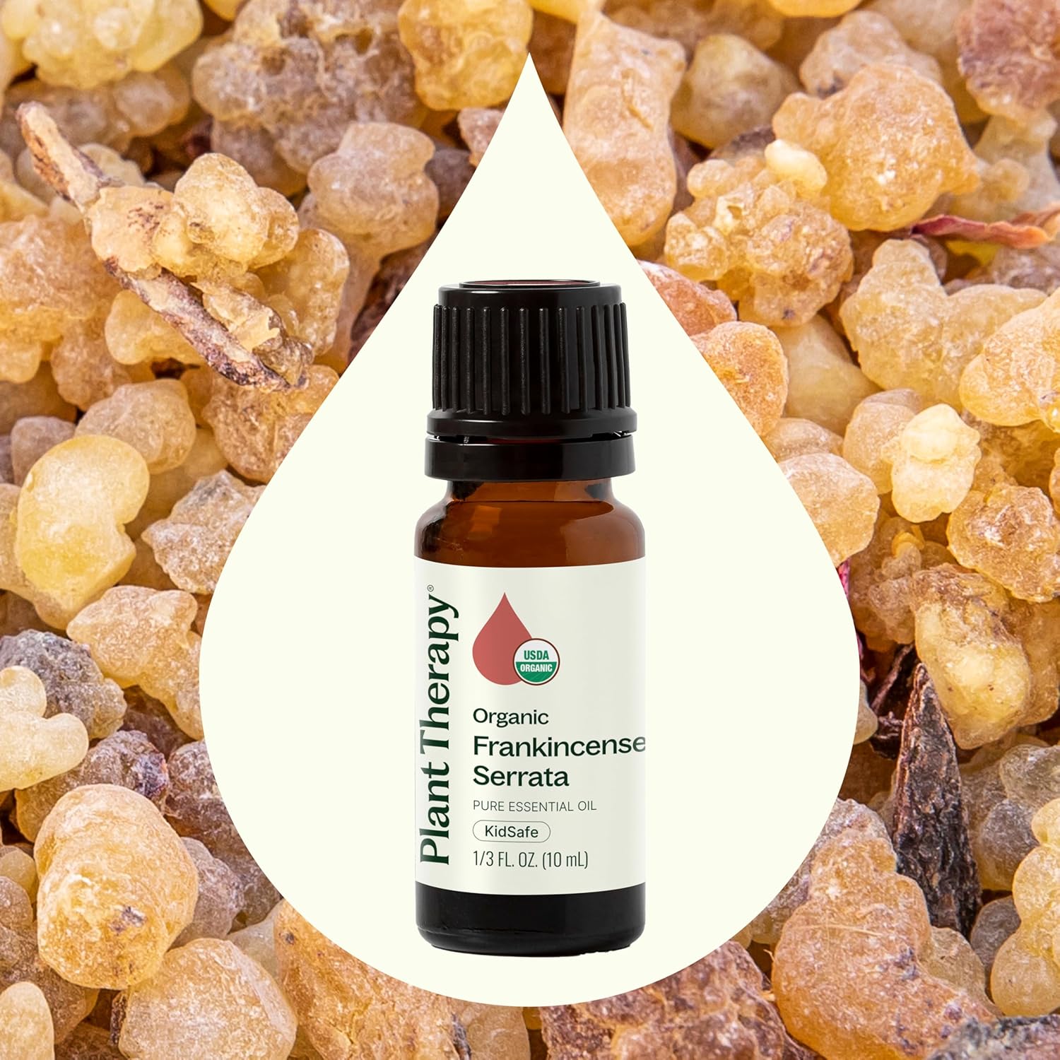 Plant Therapy Organic Frankincense Serrata Essential Oil 10 mL