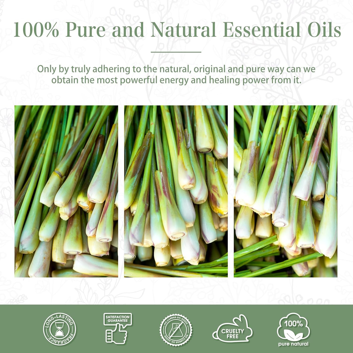 PHATOIL 100ML Citronella Essential Oil for Diffusers and DIY Projects