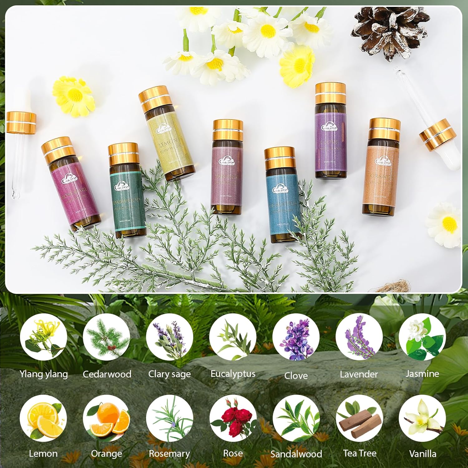 14pcs Essential Oil Set for Aromatherapy