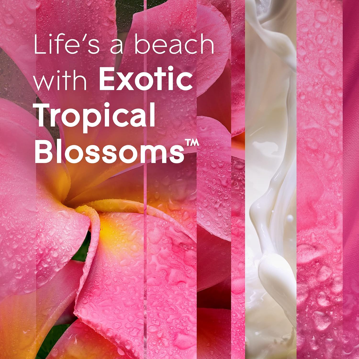 Glade PlugIns Refills Air Freshener Exotic Tropical Blossoms 335 Fl Oz 5 Count