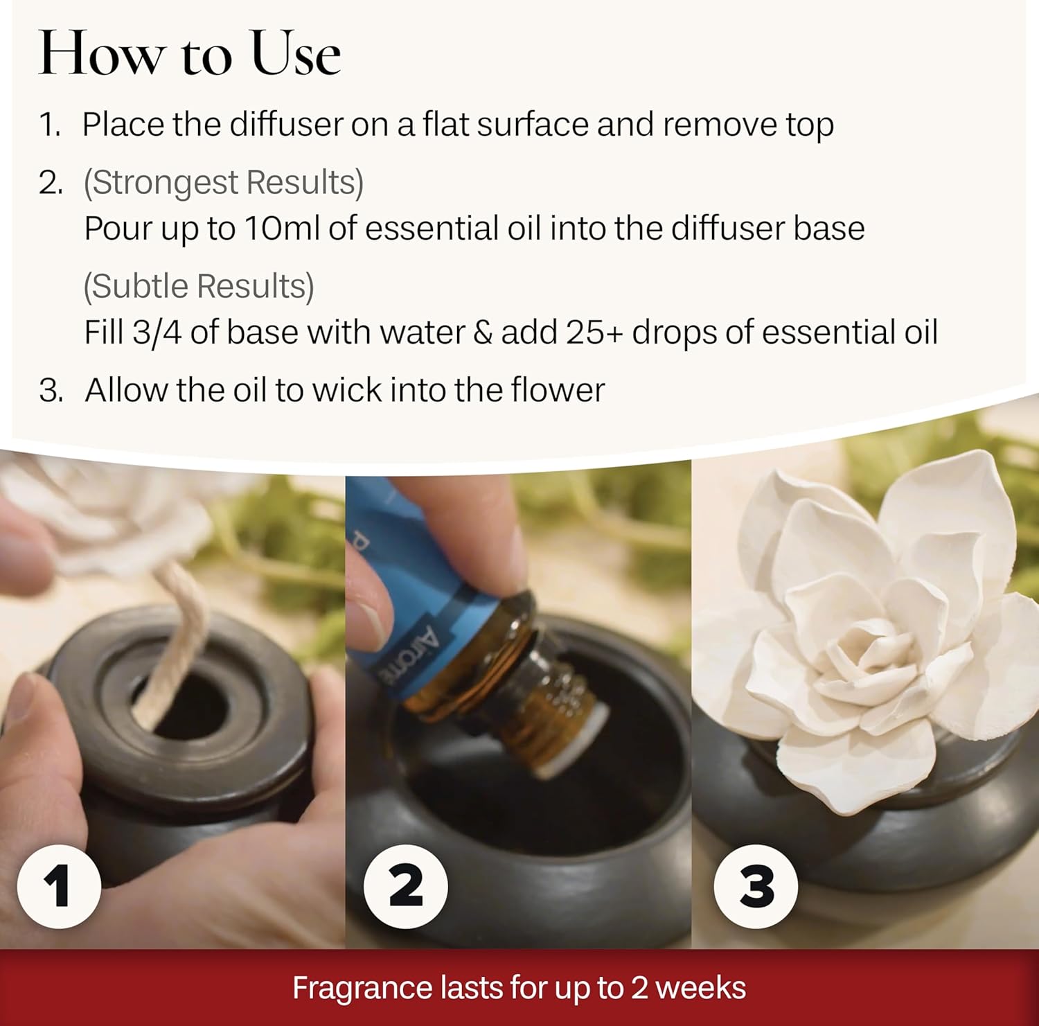 Airom White Succulent Porcelain Diffuser with Peppermint Oil