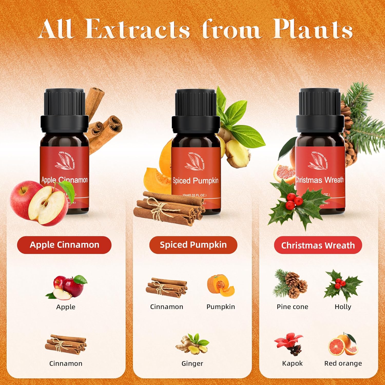 ASAKUKI Essential Oil Set 6 x 10 ml