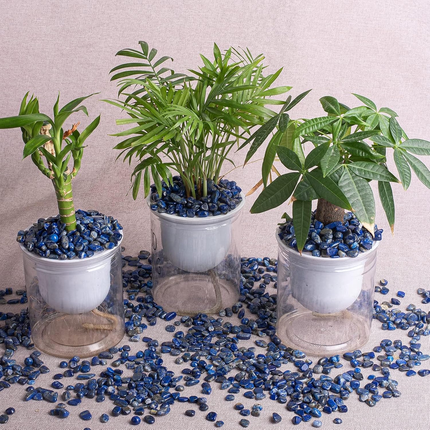 Polished Lapis Lazuli Crystal Chips 200 Pcs