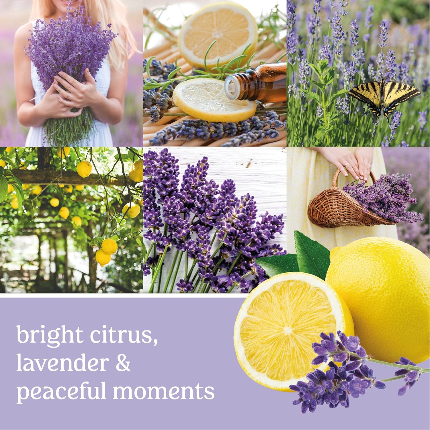 Yankee Candle Scent Plug Refill Lemon Lavender Pack of 2