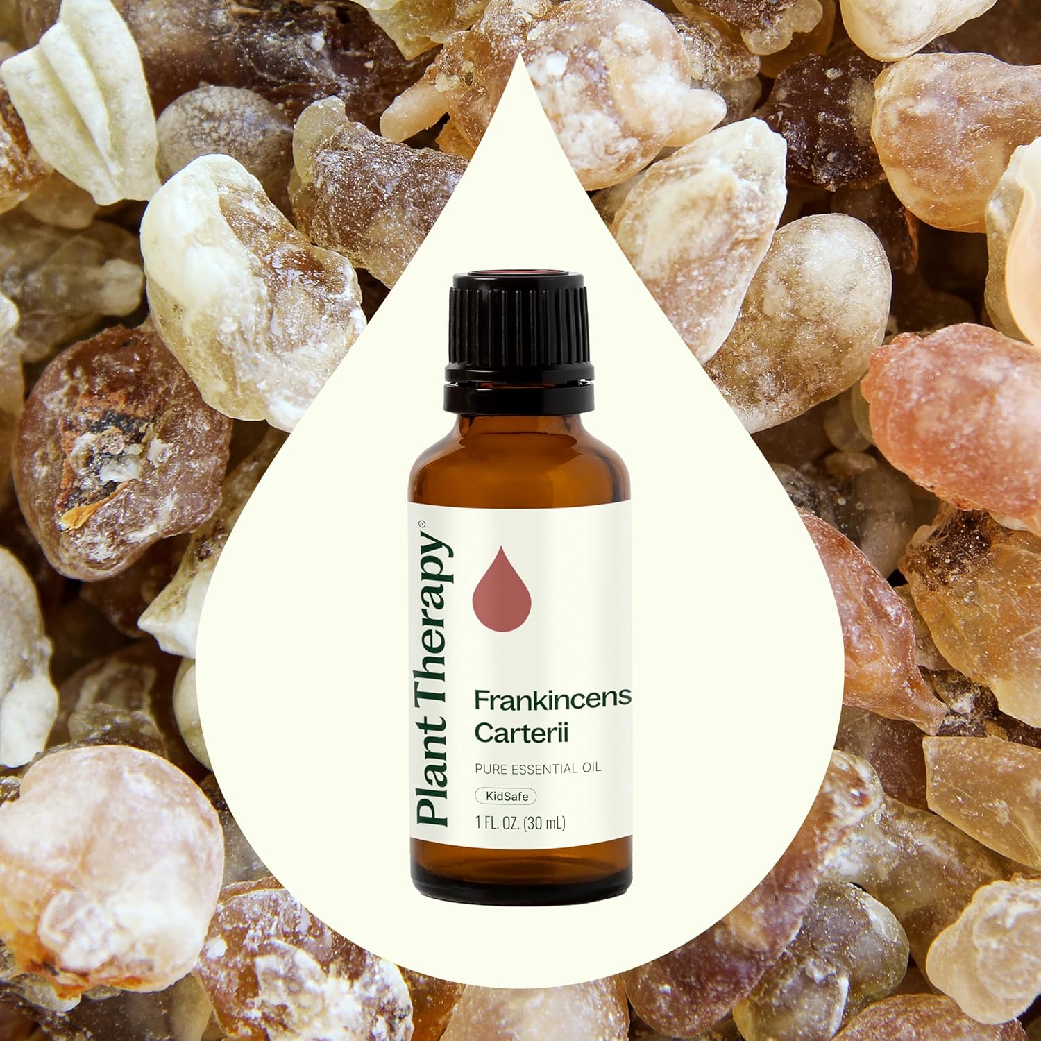Plant Therapy Frankincense Carteri Essential Oil 30 mL