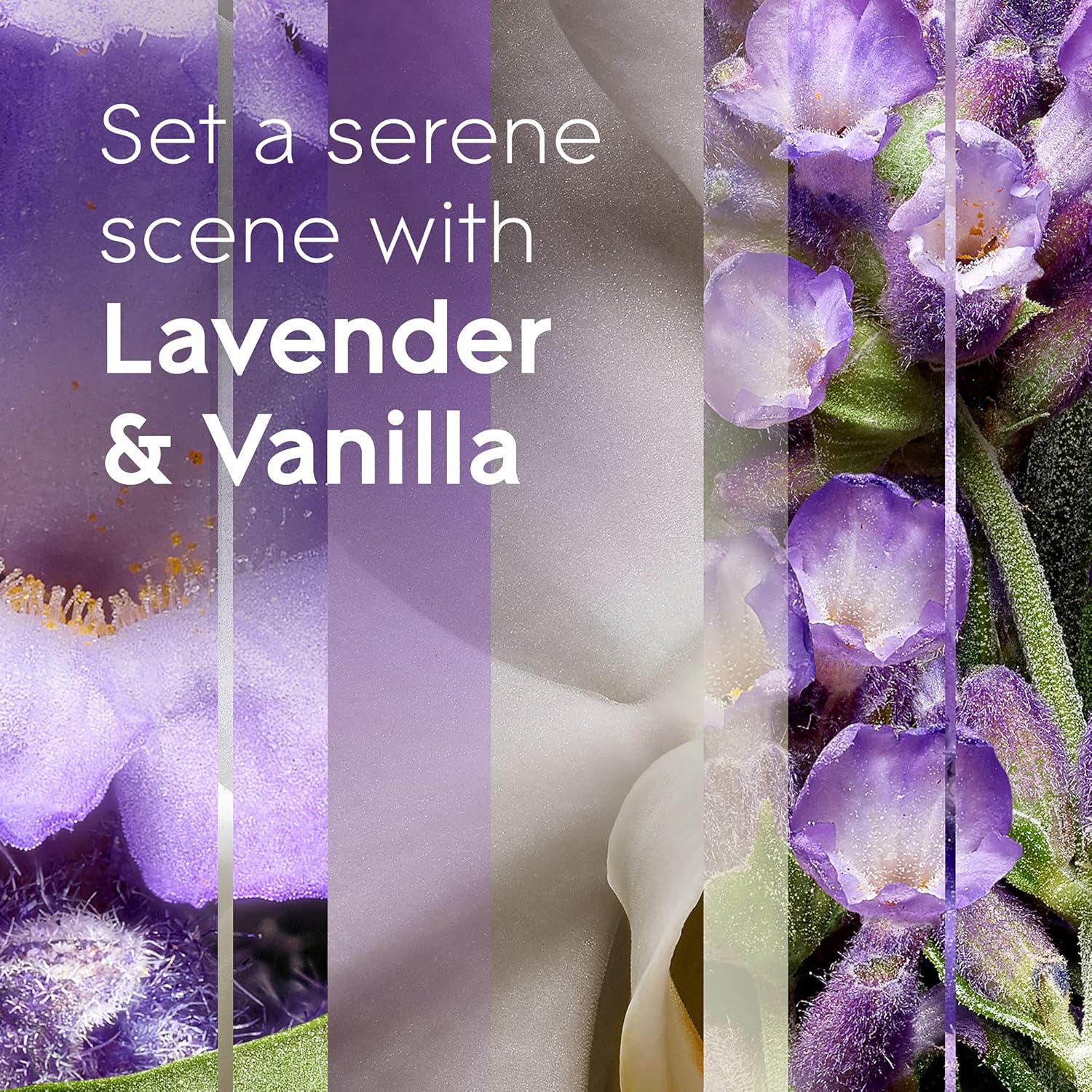 Glade PlugIns Refills Lavender Vanilla 67 Fl Oz 10 Count
